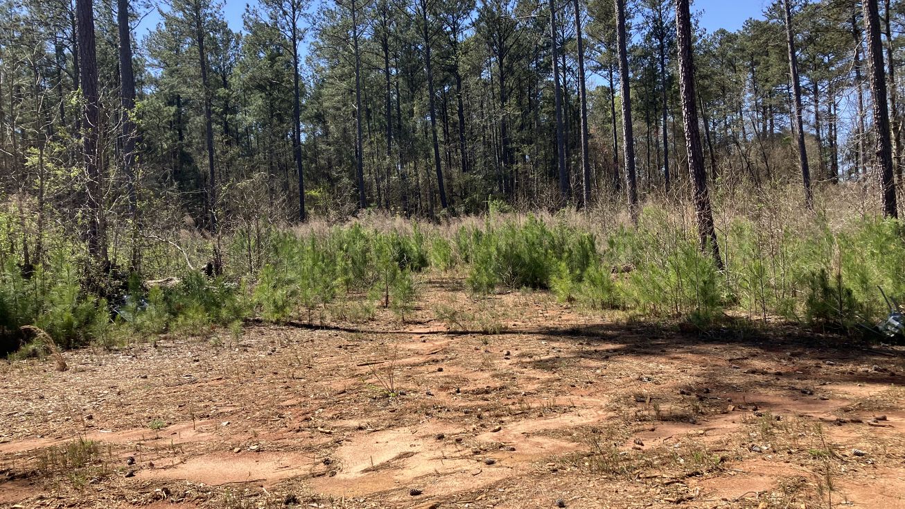 2920 Airline Rd, McDonough, GA 30252