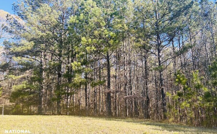 Pictures of Land property located at 0 Wagers Mill Road, Newnan, GA 30263 for sales - image #1
