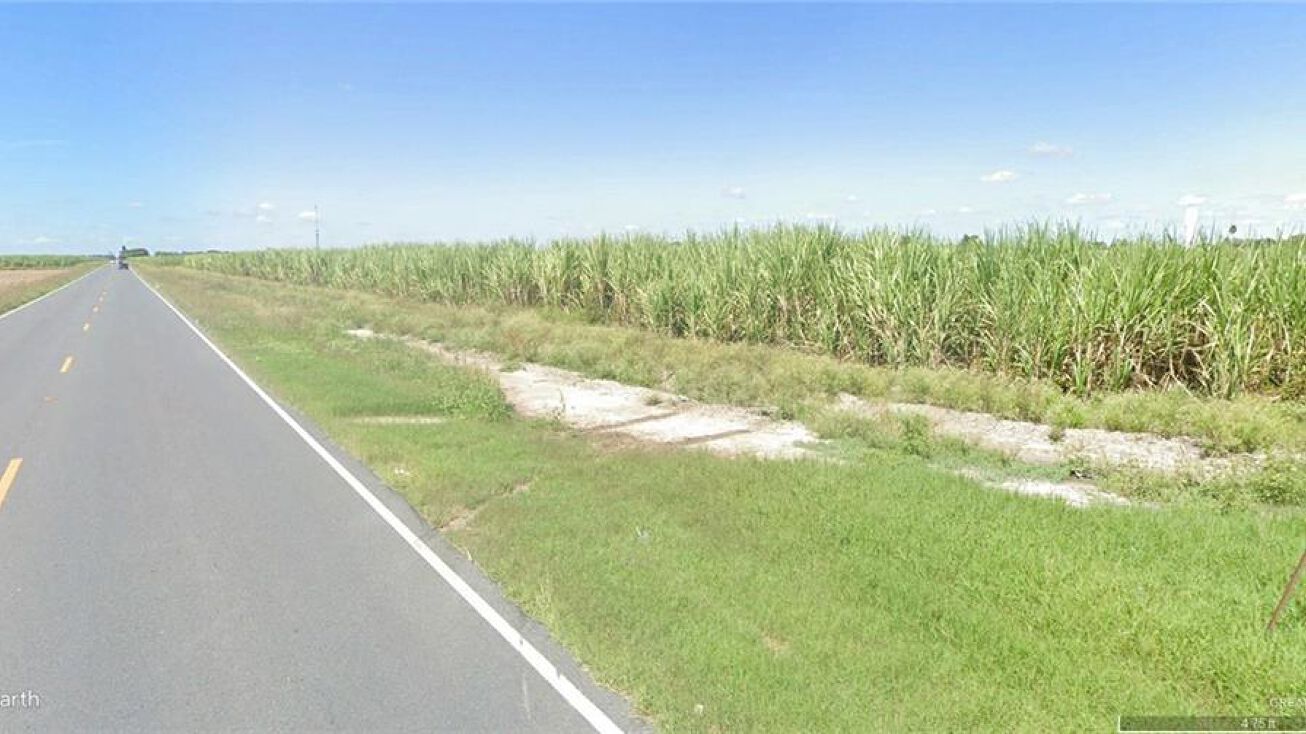 TBD E Mile 16 Road N, Edcouch, TX 78538