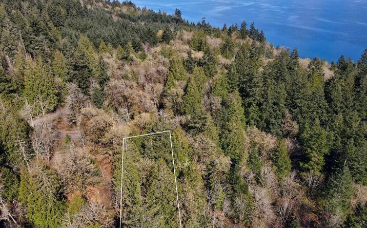 Pictures of Land property located at 4374 VAN BEEK ROAD NW, LAKEBAY, WA 98349 for sales - image #1