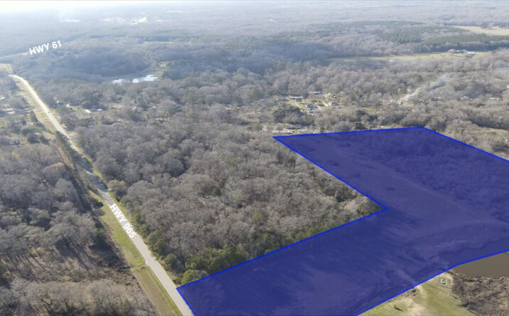 Pictures of Land property located at LA-965, St. Francisville, LA 70775 for sales - image #1