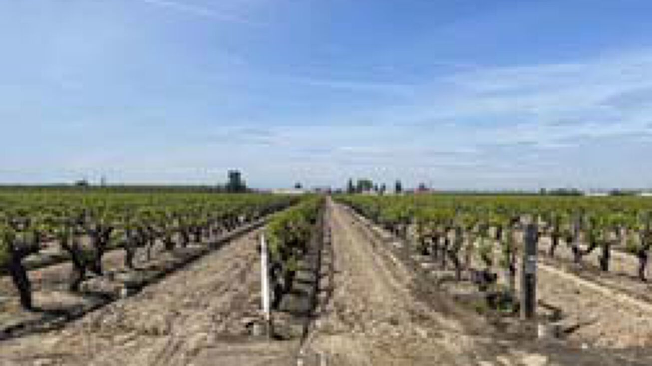 1 Siskiyou Ave, Kerman, CA 93630