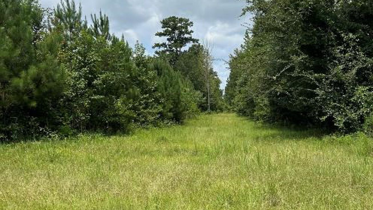 68 Acres in Greene, Leakesville, MS 39451