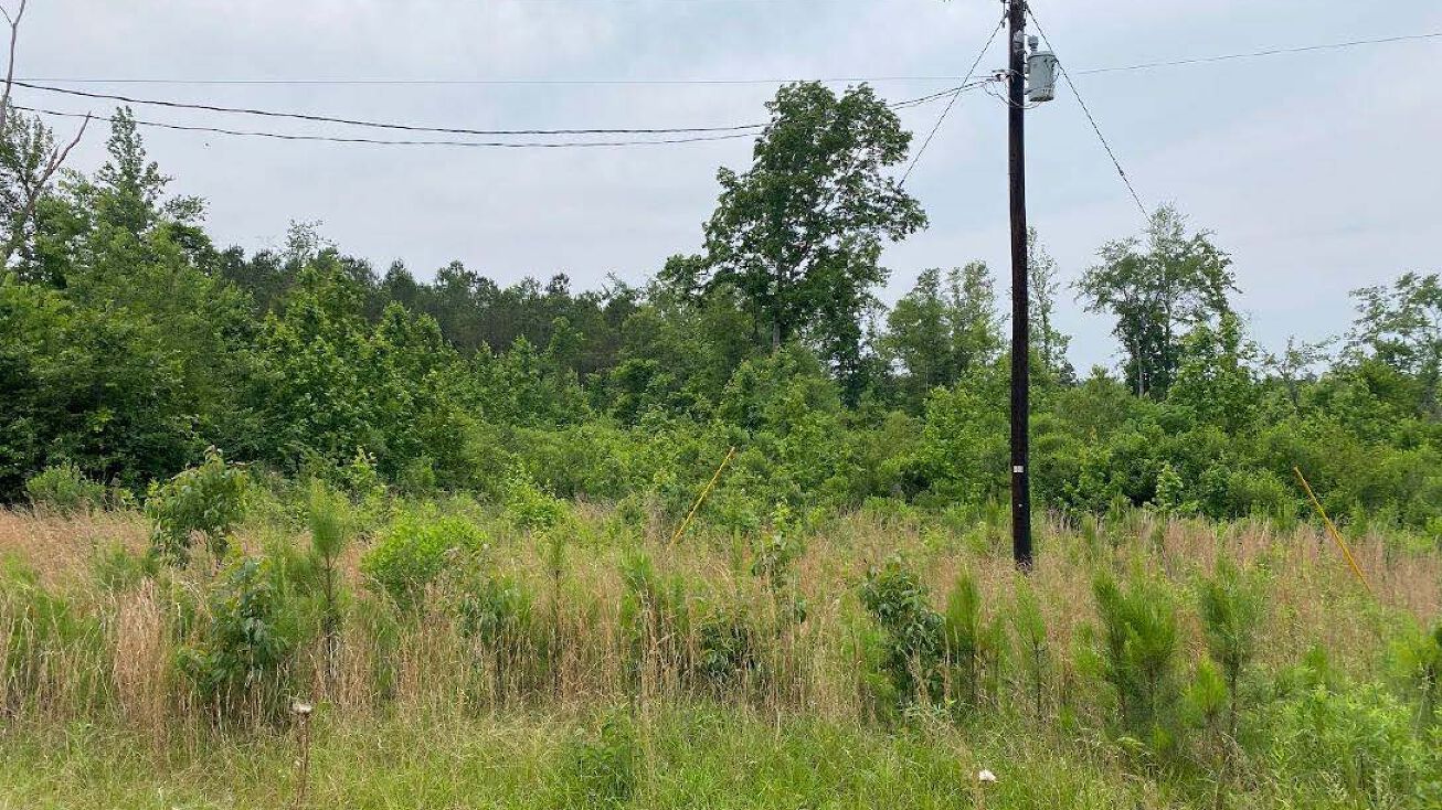 Damascus Church Road, Kosciusko, MS 39090