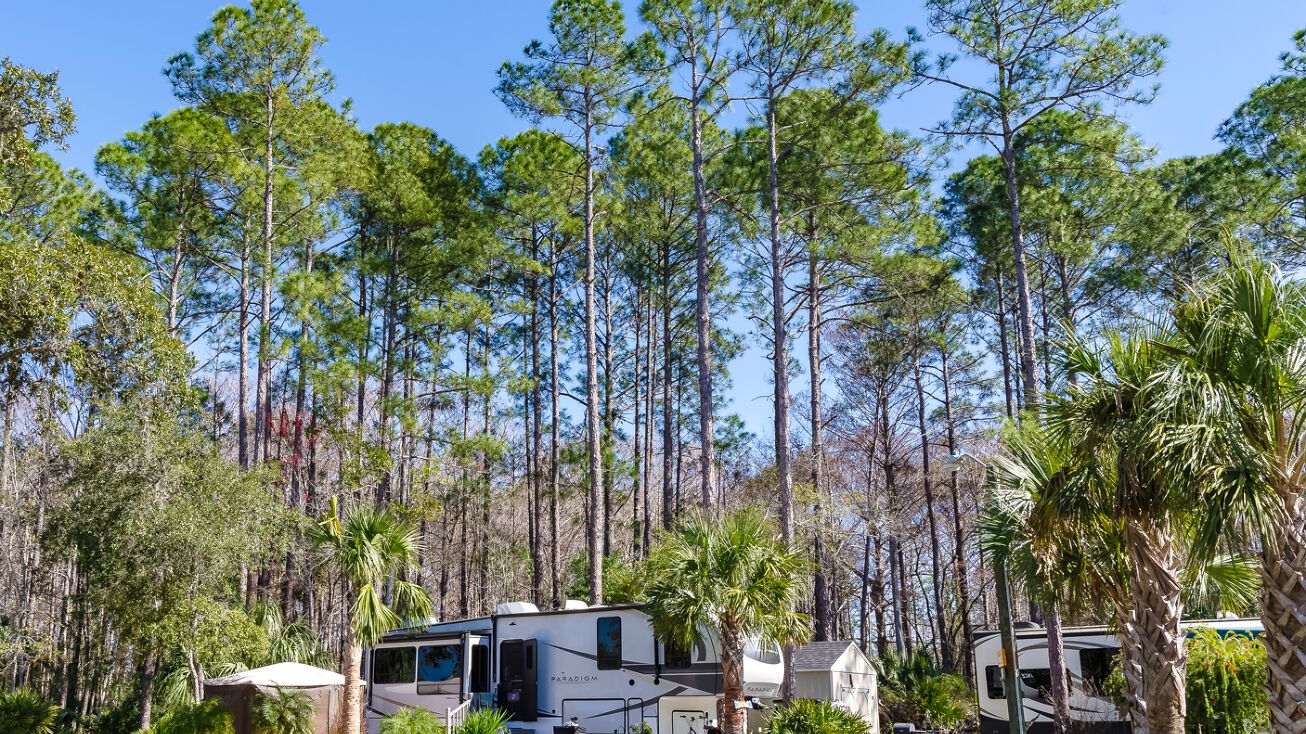 11980 SW Shiloh Rd, Cedar Key, FL 32625