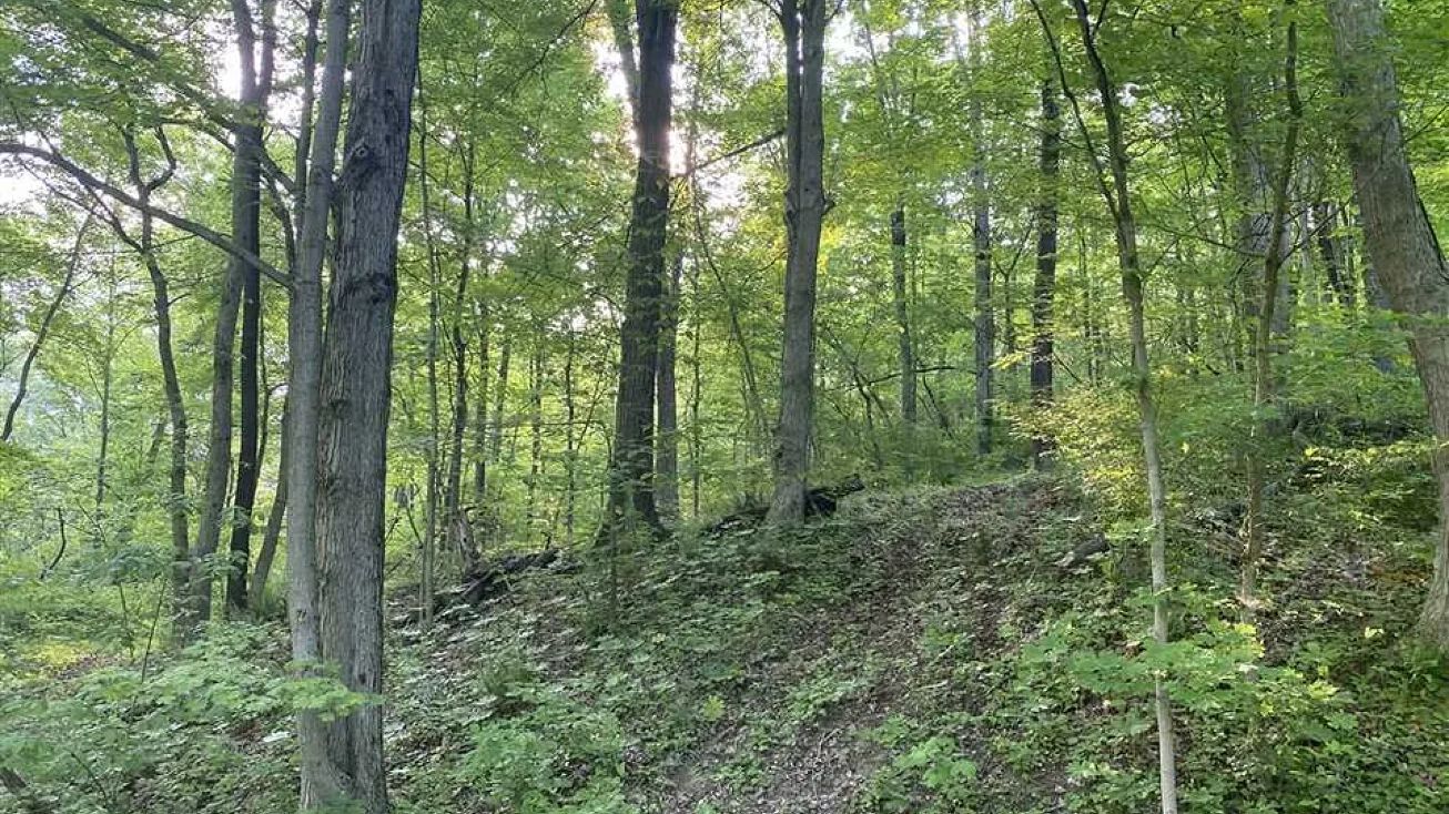 26 Liberty Ln, Avella, PA 15312