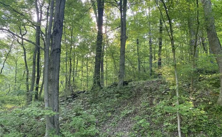 Pictures of Land property located at 26 Liberty Ln, Avella, PA 15312 for sales - image #1
