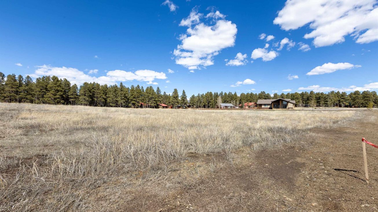 Land For Sale In Pagosa Springs