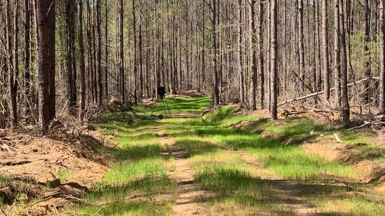 0 County Road 406, Calhoun City, MS 38916