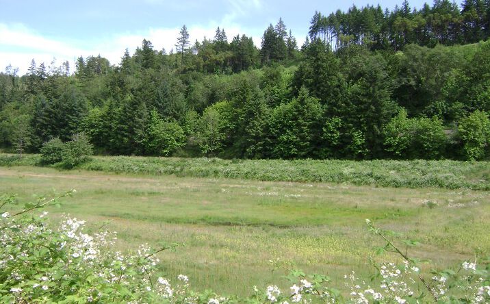 Pictures of Land property located at 560 Stearns Ln, Oakland, OR 97462 for sales - image #1