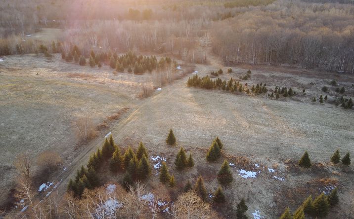 Pictures of Land property located at 410 Stone Rd, Williamstown, VT 05679 for sales - image #1