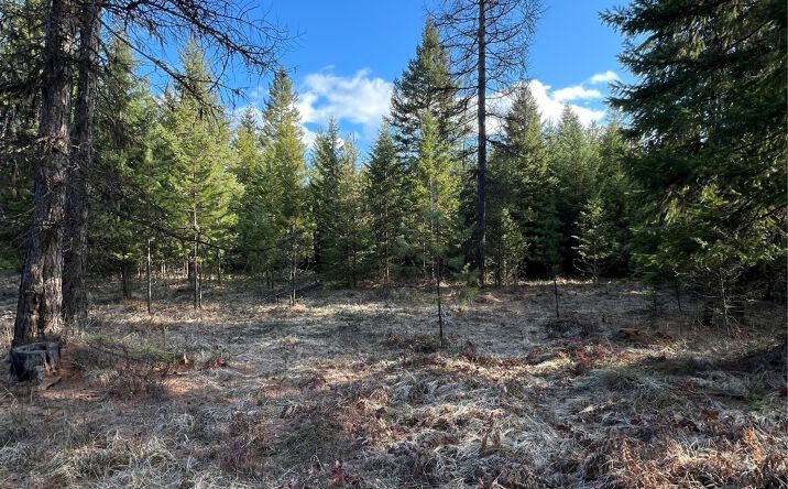 Pictures of Land property located at Nhn Sapphire Lane E Lot 3, Trout Creek, MT 59874 for sales - image #1