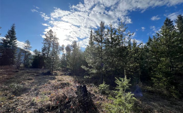 Pictures of Land property located at Nhn Sapphire Lane E Lot 4, Trout Creek, MT 59874 for sales - image #1
