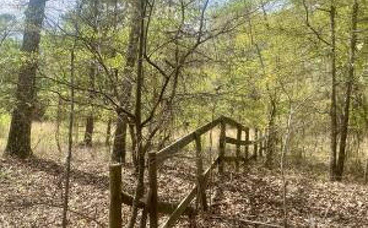 Pictures of Land property located at 0 Neomia Drive, New Ellenton, SC 29809 for sales - image #1