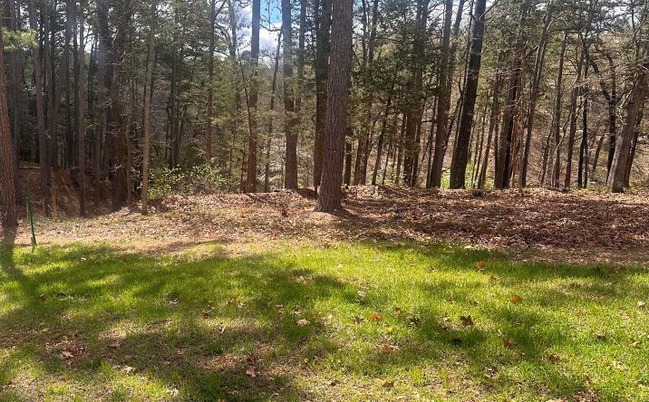 Pictures of Land property located at 14 Pine Crest Lane, Eureka Springs, AR 72632 for sales - image #1
