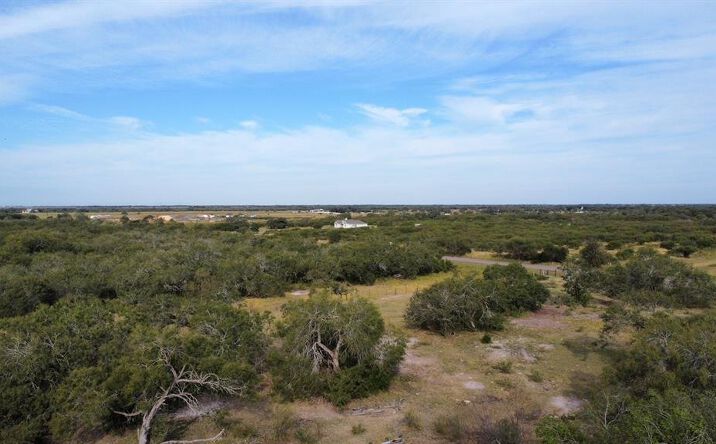 Pictures of Land property located at 14135 County Rd 1144, Sinton, TX 78387 for sales - image #1