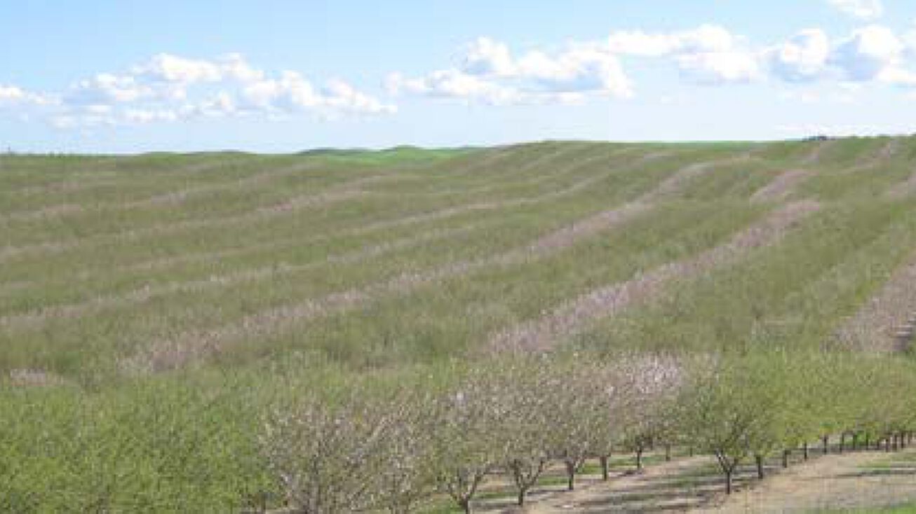 County Rd 90, Dunnigan, CA 95937