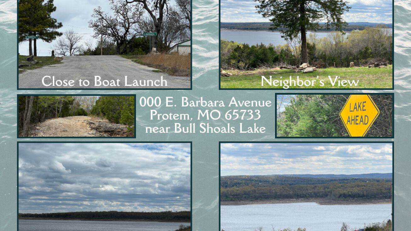 E Barbara Ave, Protem, MO 65733