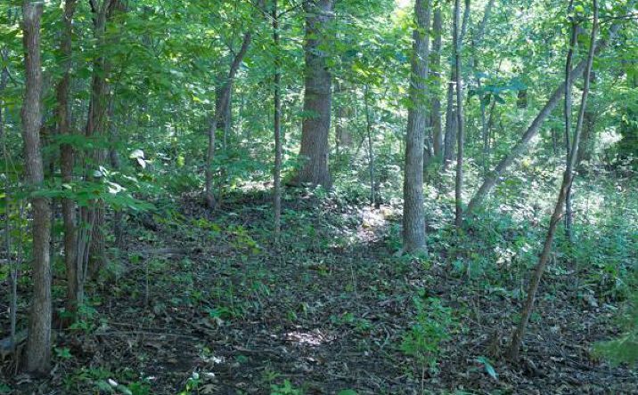 image of property at 2601 W 160TH TER Stilwell KS 66085-9136