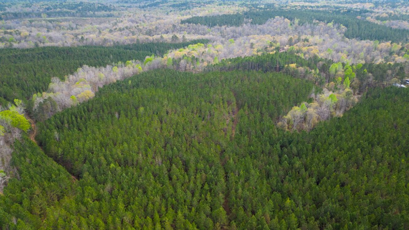 0 Weoka Road, Wetumpka, AL 36092