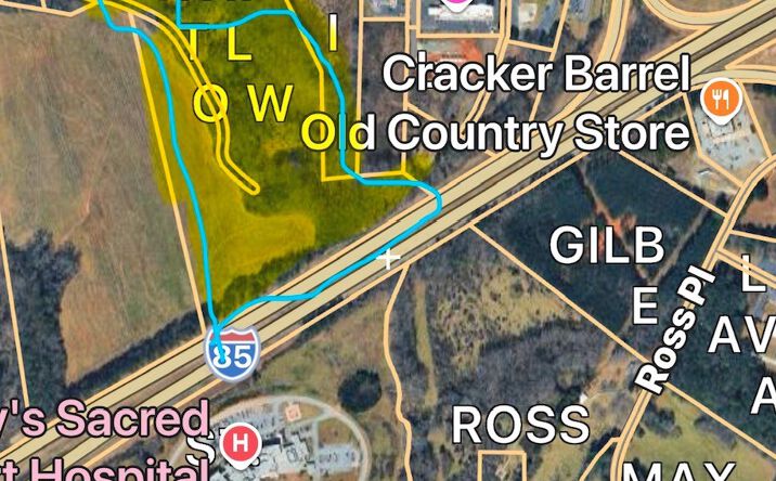 Pictures of Mixed Use, Retail, Senior Living property located at 0 Hwy 17 S,, Lavonia, GA 30523 for sales - image #1