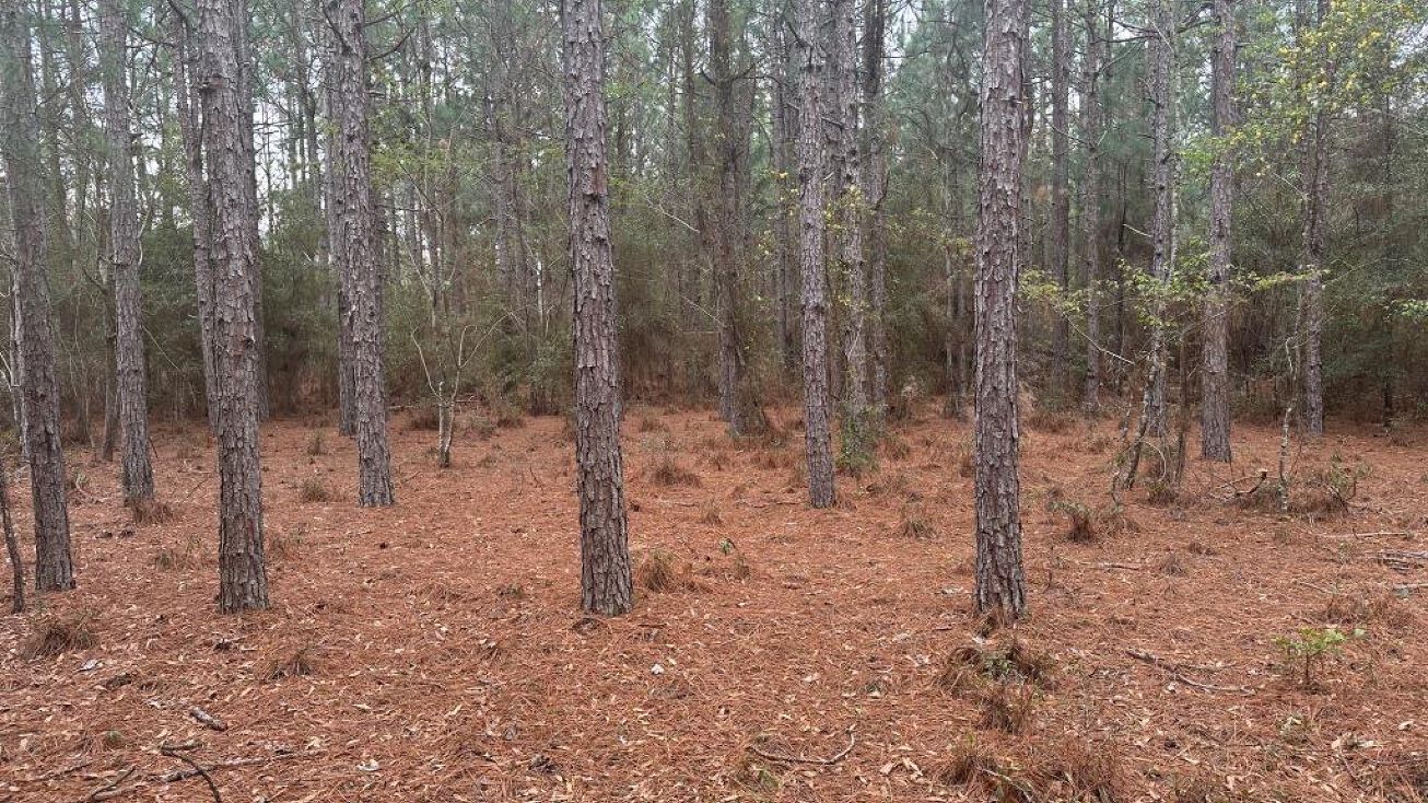 Griffin Landing Rd, Girard, GA 30426