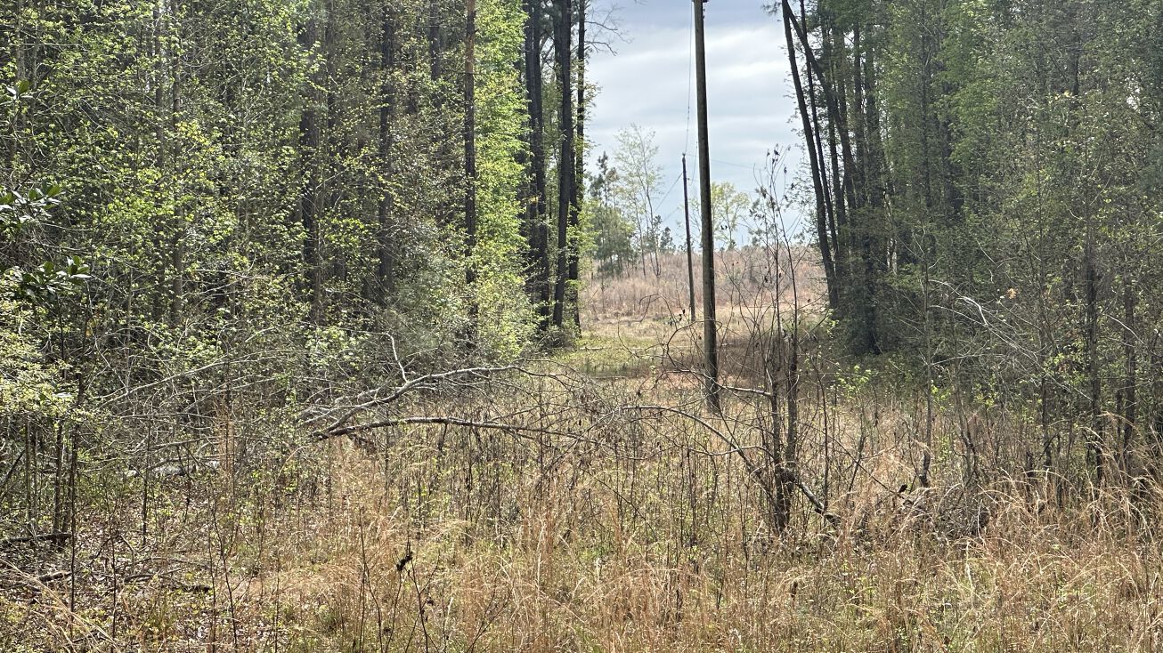 Mulberry Pond, Hiltonia, GA 30467