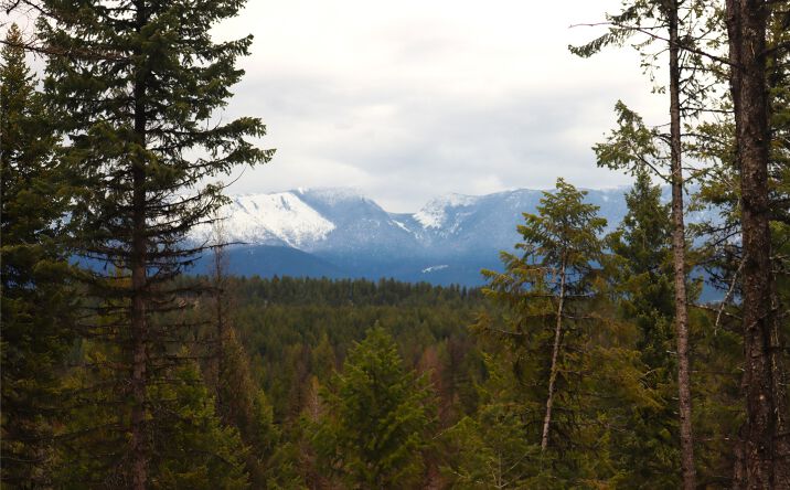 Pictures of Land property located at Nhn 120 Acres South, Eureka, MT 59917 for sales - image #1