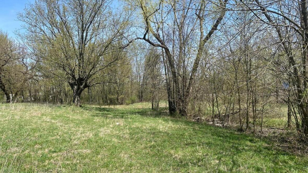 403 S Pearl Street, Crestline, OH 44827