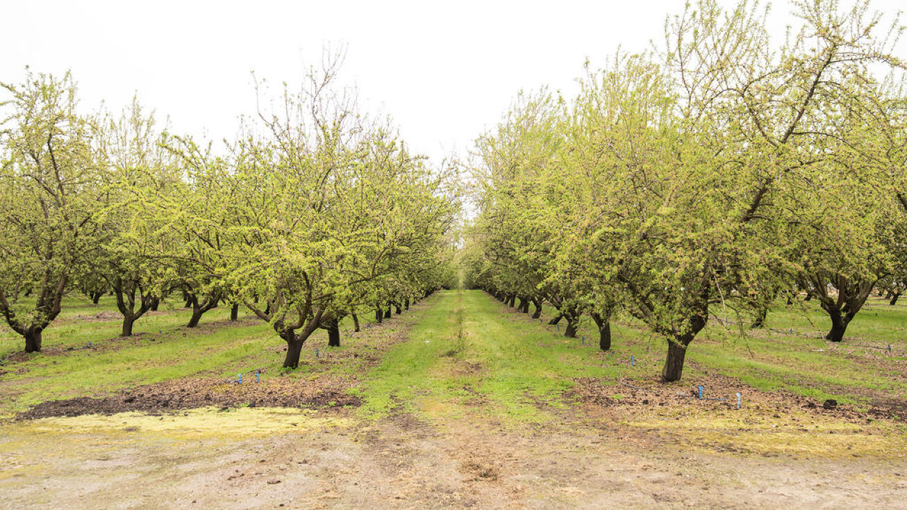 Emery Rd, Oakdale, CA 95361