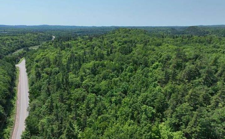 Pictures of Land property located at County Road 492, Negaunee Twp, MI 49855 for sales - image #1