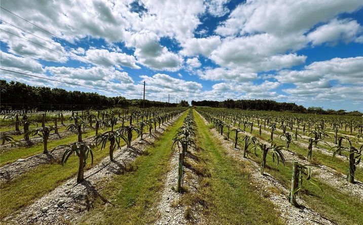 Pictures of Land property located at 152xx SW 197th Ave, Miami, FL 33196 for sales - image #1