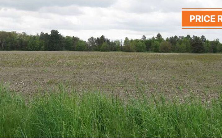 Pictures of Land property located at US-20 ALT, Swanton, OH 43558 for sales - image #1
