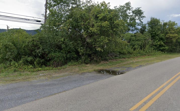 Pictures of Land property located at 2812 Selma-Low Moor Rd, Low Moor, VA 24457 for sales - image #1