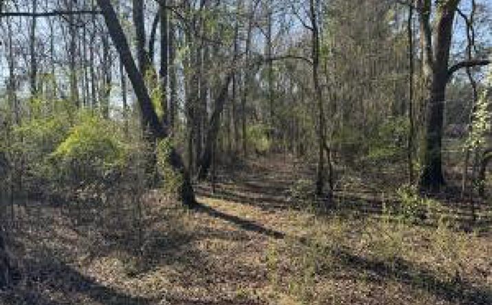 Pictures of Land property located at Tbd Buttercup Drive, Ward, SC 29166 for sales - image #1