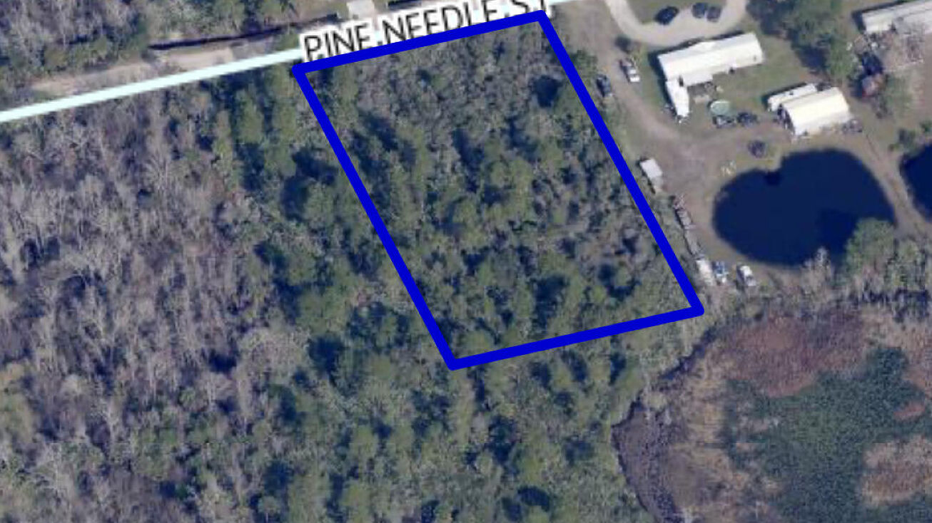 4753 Pine Needle Street, Mims, FL 32754