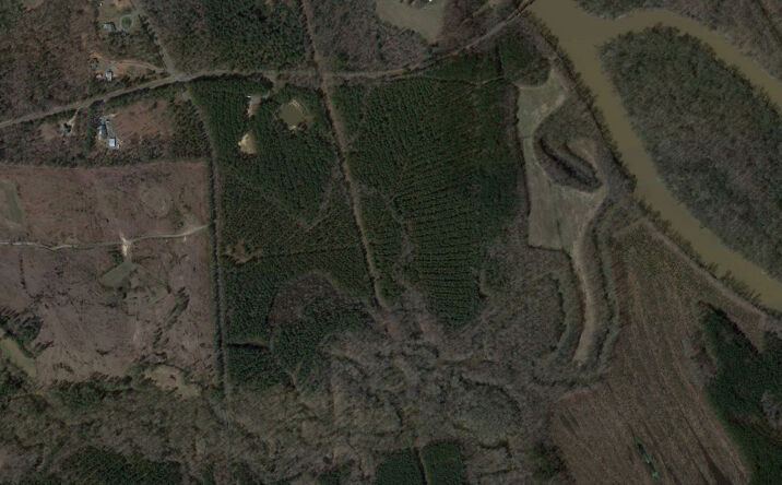 Pictures of Land property located at Lower River Rd, Sanford, NC 27330 for sales - image #1