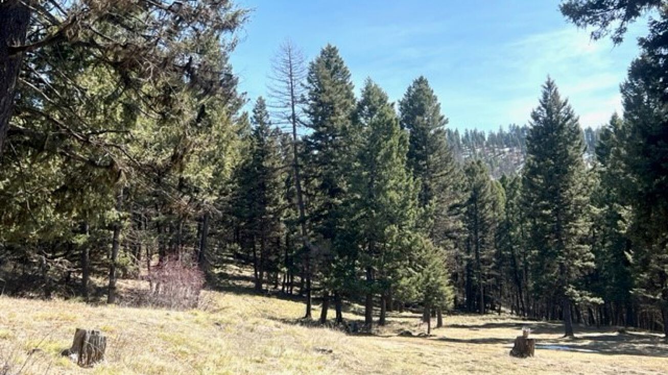 990 Elkhorn Road, Seeley Lake, MT 59868