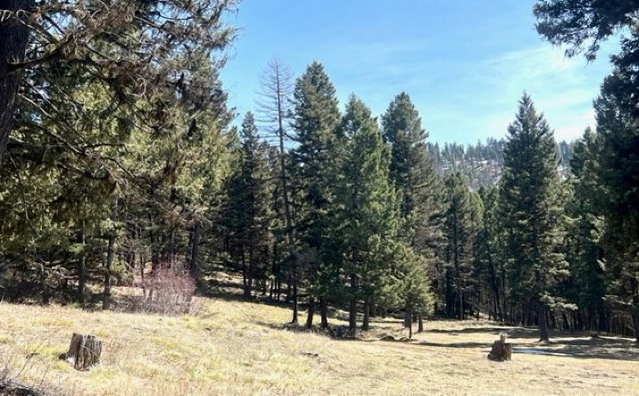 Pictures of Land property located at 990 Elkhorn Road, Seeley Lake, MT 59868 for sales - image #1
