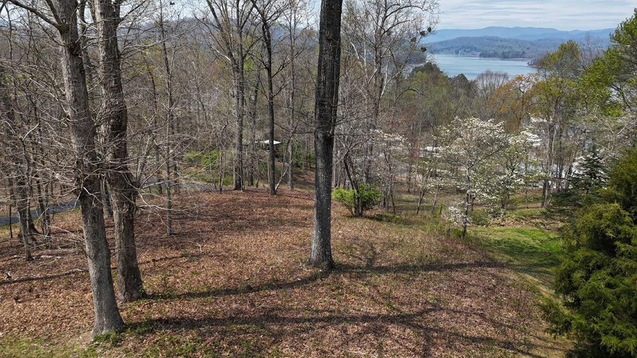 Lot 12 Chatuge Cove Drive, Hayesville, NC 28904