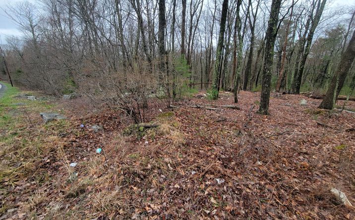 Pictures of Land property located at PA-739, Dingmans Ferry, PA 18328 for sales - image #1