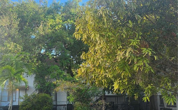 Pictures of Special Purpose property located at 412 NW 4th St, Miami, FL 33130 for sales - image #1