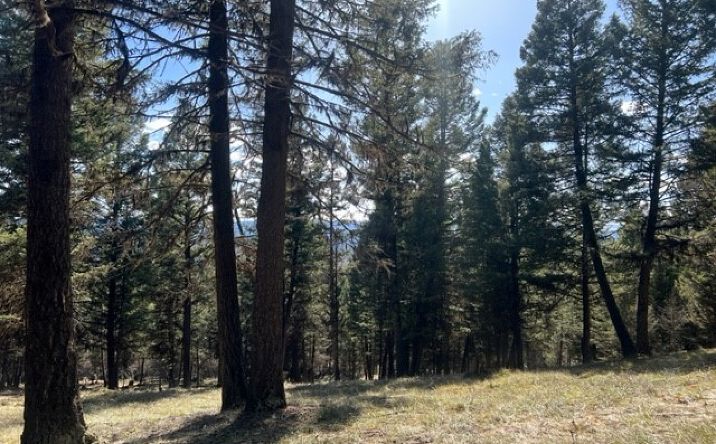 Pictures of Land property located at 240 Wolverine Drive, Seeley Lake, MT 59868 for sales - image #1