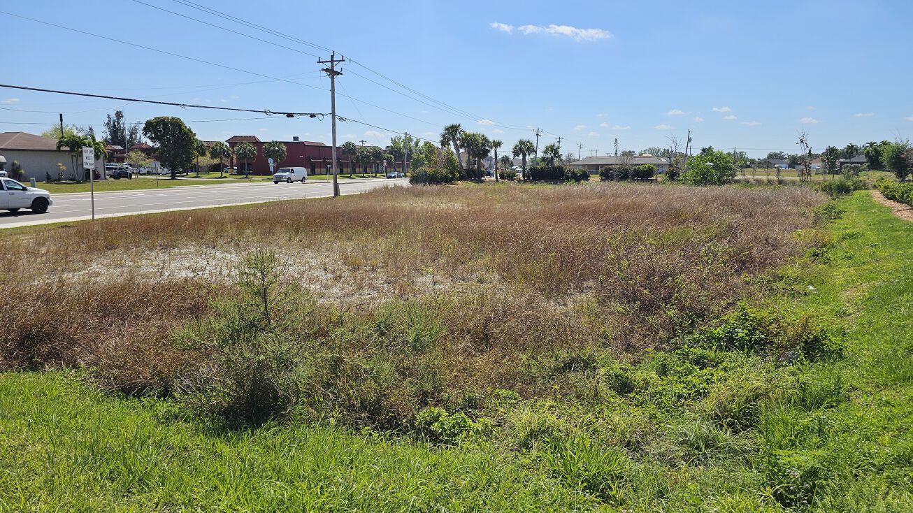 252 Nicholas Pkwy, Cape Coral, FL 33991