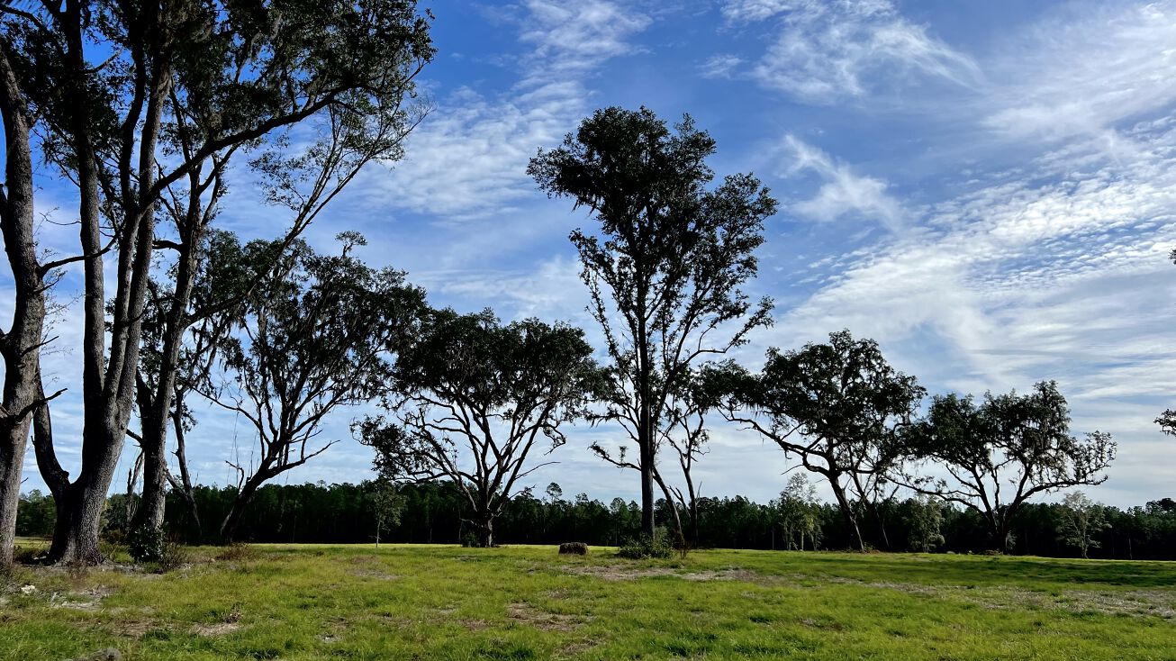 NW 150th Ave, Fellowship, FL 32668