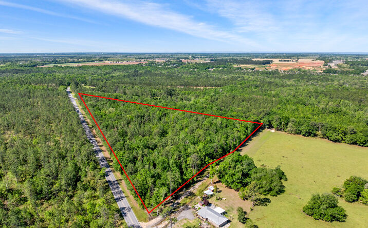 Pictures of Land property located at Co Rd 64, Loxley, AL 36551 for sales - image #1