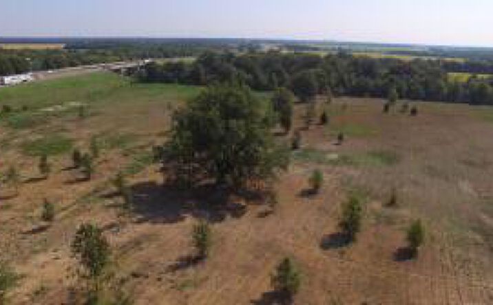 Pictures of Land property located at 216 I-40 25.25 Acres Drive, Brinkley, AR 72021 for sales - image #1