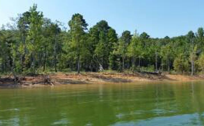 Pictures of Land property located at 149 Driftwood Trl, Greers Ferry, AR 72067 for sales - image #1