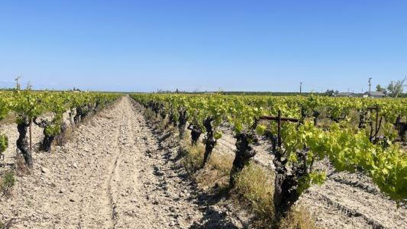 2080 N Goldenrod Ave, Kerman, CA 93630