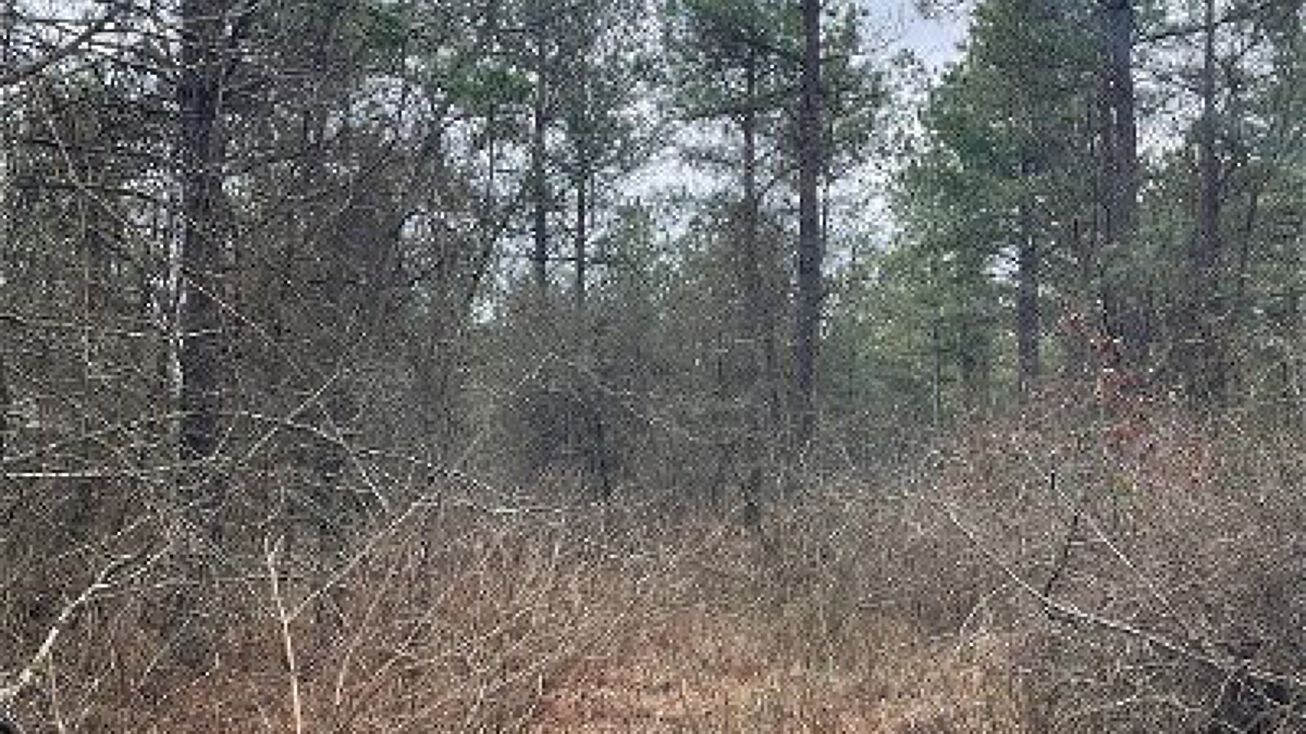 Address Unavailable, Broken Bow, OK 74728